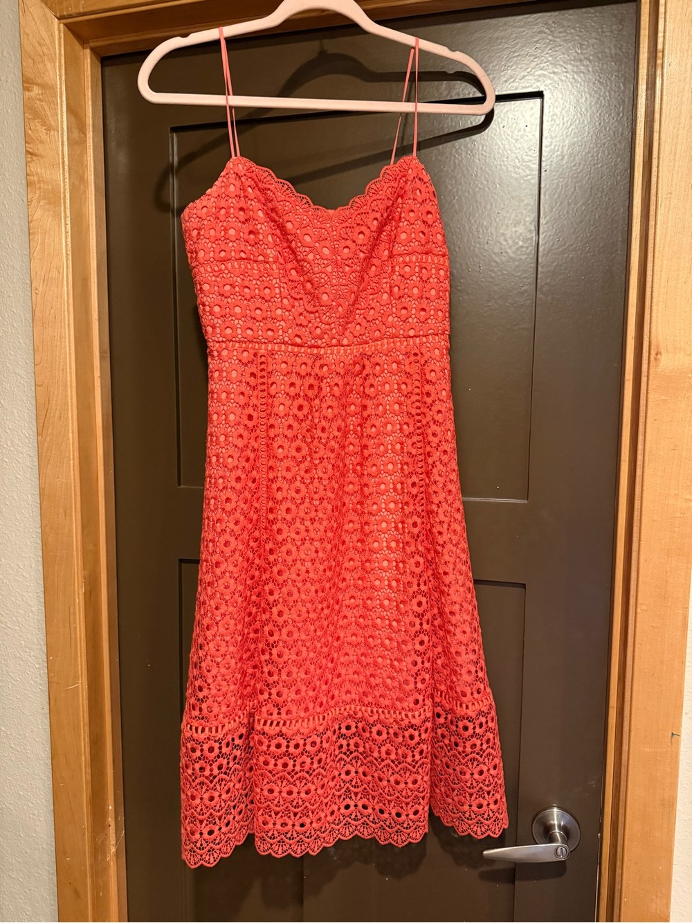 J. Crew Daisy Lace Dress